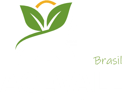 Logo Agevale Brasil